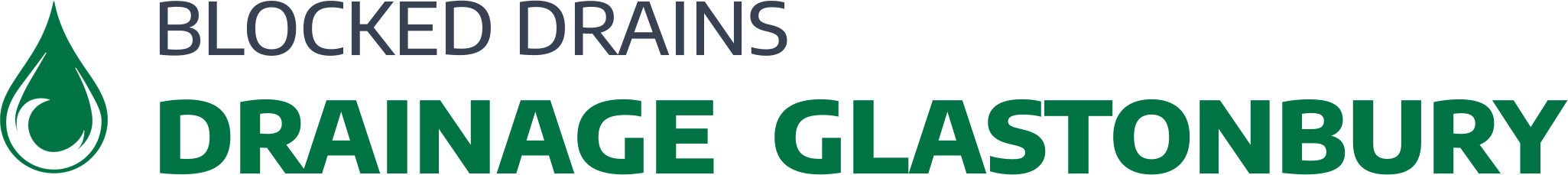 website logo